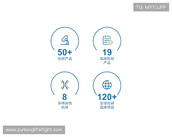 z6凯时试玩官网入口安全可靠的登录入口指南，保障您的账号安全与游戏体验