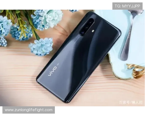 Z6就是博：Z6游戏中的任务系统与每日活动奖励详解