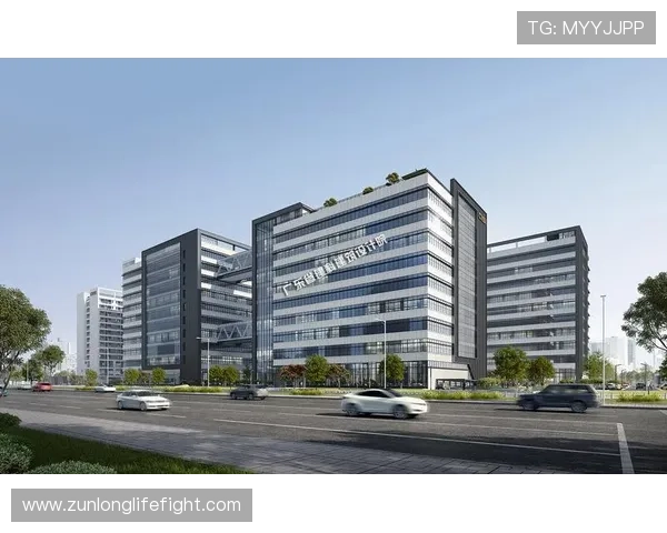 凯时人生就是搏集团:实现可持续发展的核心策略与实践经验