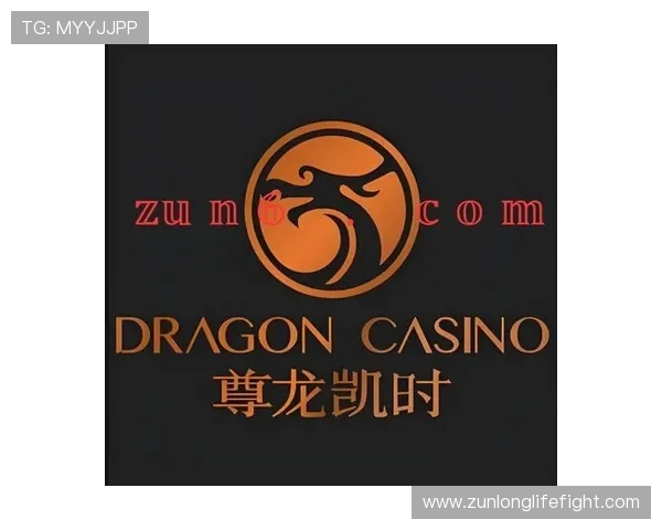 透视尊龙凯时备用网址的优势，轻松享受无缝在线体验