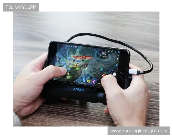 如何快速找到z6尊龙官网登录入口，解决玩家登录难题的实用指南
